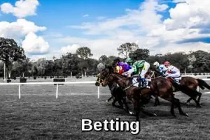 Sports betting slip